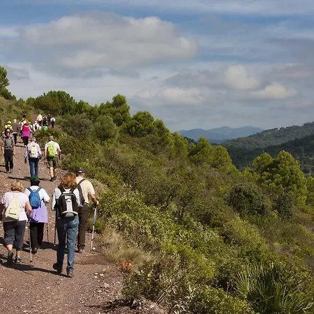 Apartment Al4-2005 - - Alcazaba Lagoon Estepona